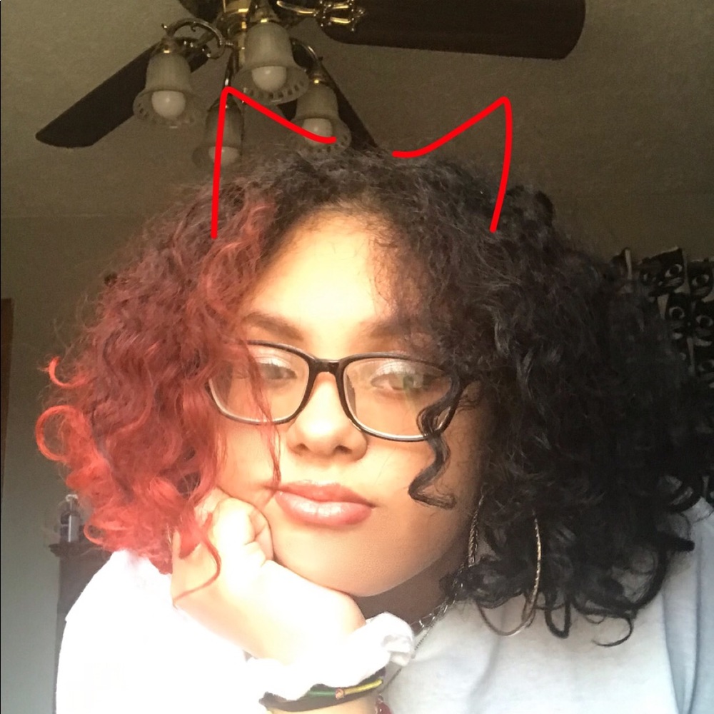 Meet your Posher, Liz